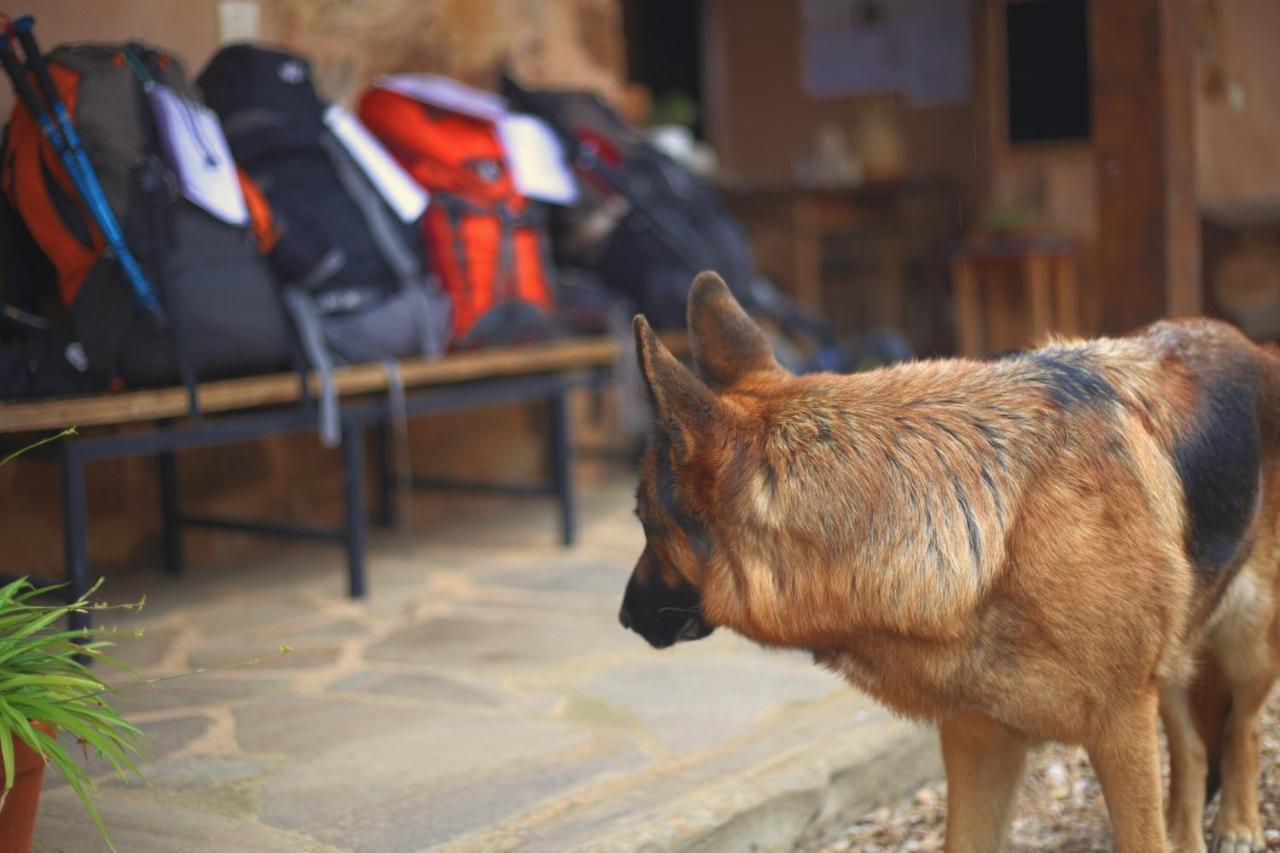 Casa Rural Las Aguedas Murias de Rechivaldo エクステリア 写真
