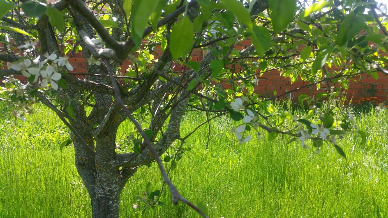 Casa Rural Las Aguedas Murias de Rechivaldo エクステリア 写真